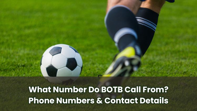 What Number Do BOTB Call From? Phone Numbers & Contact Details